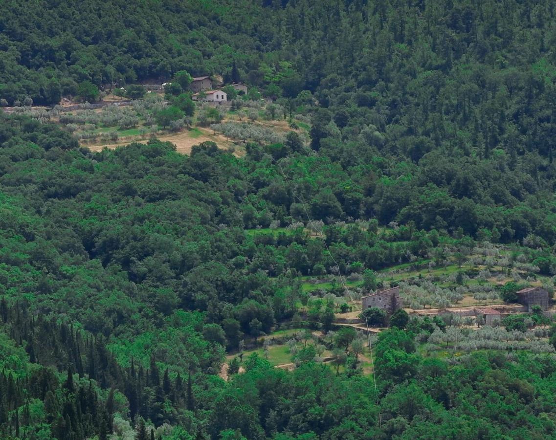 Villa Ancora Tenuta Lonciano Gualdo  Екстер'єр фото